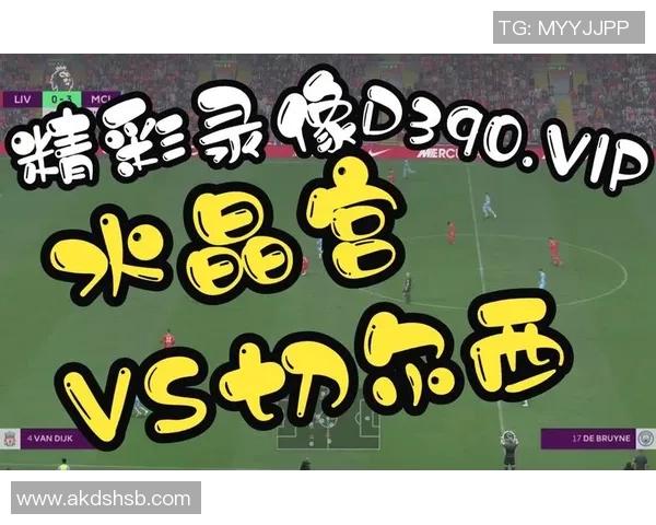 12月30日水晶宫对阵切尔西精彩直播全程回顾与赛后分析